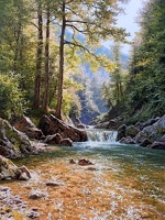 Ruisseau (99)