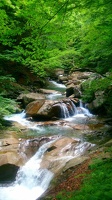 Ruisseau (101)