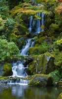 Ruisseau (104)