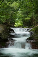 Ruisseau (107)