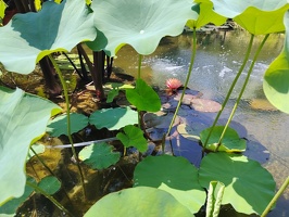 2887
