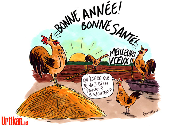 120101-coq-voeux.jpg