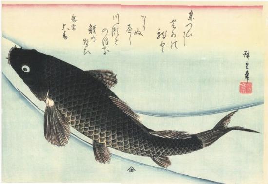 carpe-hiroshige-jpg.jpg